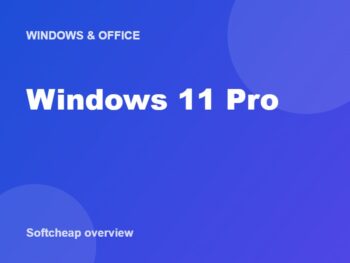 Windows 11 Pro
