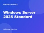 Windows Server 2025 Standard overview